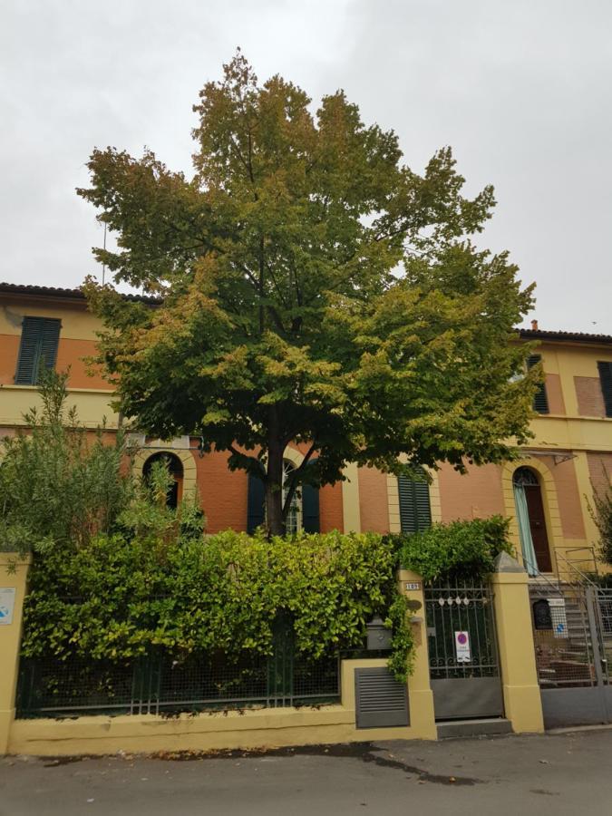 Stella Del Mar Panzió Bologna Kültér fotó