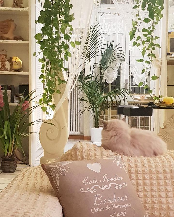 Stella Del Mar Panzió Bologna Kültér fotó